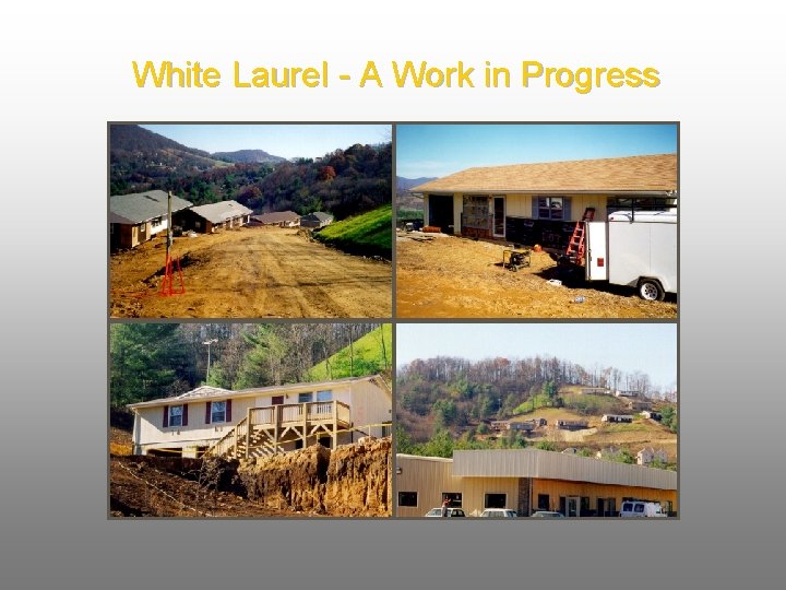 White Laurel - A Work in Progress 