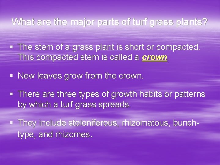 Identifying Classifying and Selecting Turfgrass Student Learning Objectives