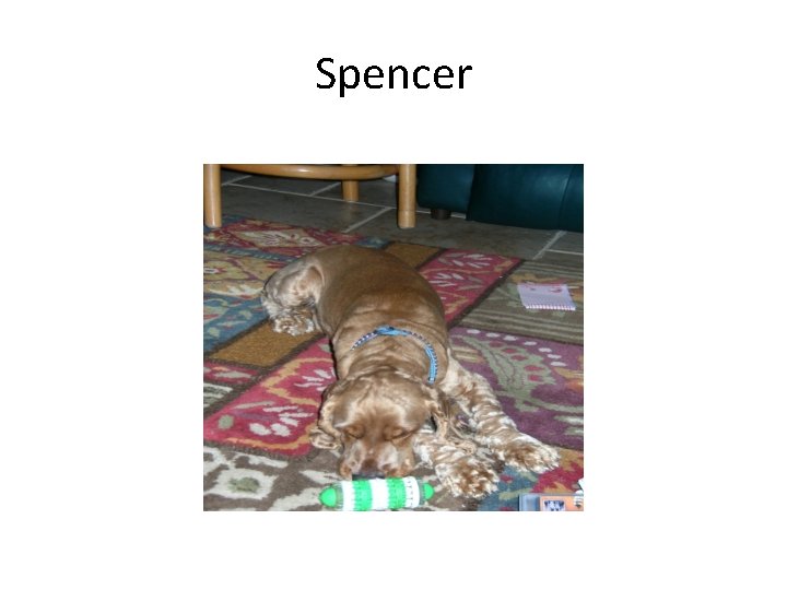 Spencer 