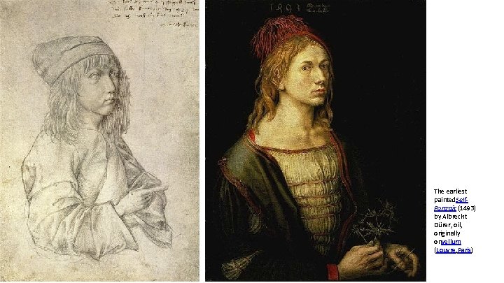 The earliest painted. Self. Portrait (1493) by Albrecht Dürer, oil, originally onvellum (Louvre, Paris)