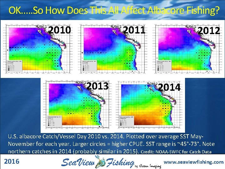OK…. . So How Does This All Affect Albacore Fishing? 2011 2010 2013 2012