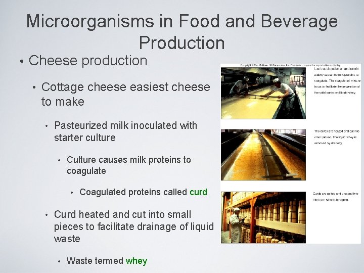 Microorganisms in Food and Beverage Production • Cheese production • Cottage cheese easiest cheese