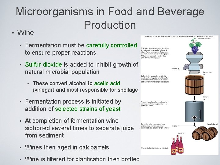  • Microorganisms in Food and Beverage Production Wine • Fermentation must be carefully