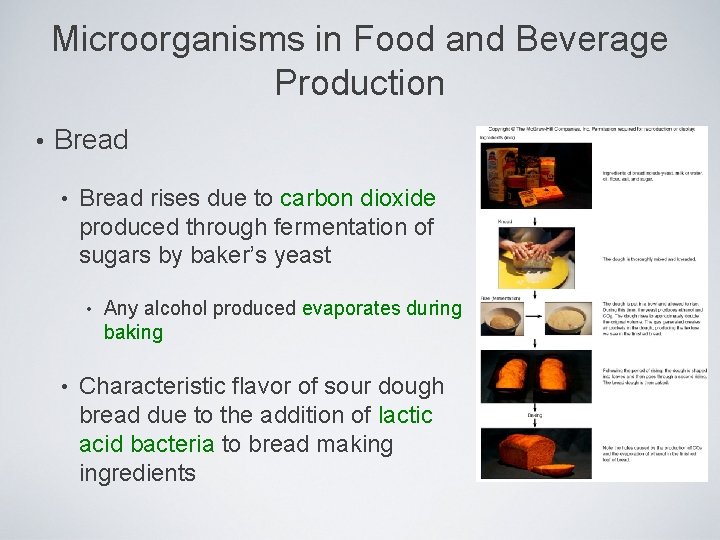 Microorganisms in Food and Beverage Production • Bread rises due to carbon dioxide produced