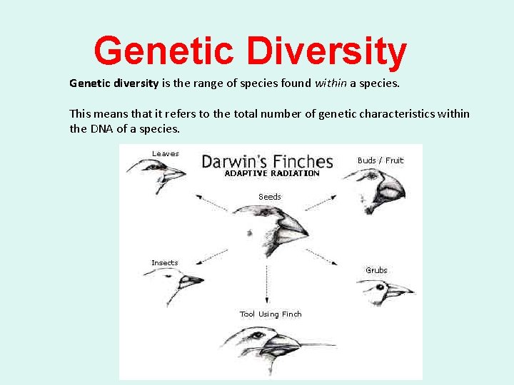 Genetic Diversity Genetic diversity is the range of species found within a species. This