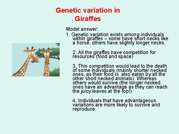 Genetic variation in Giraffes Model answer: 1. Genetic variation exists among individuals within giraffes