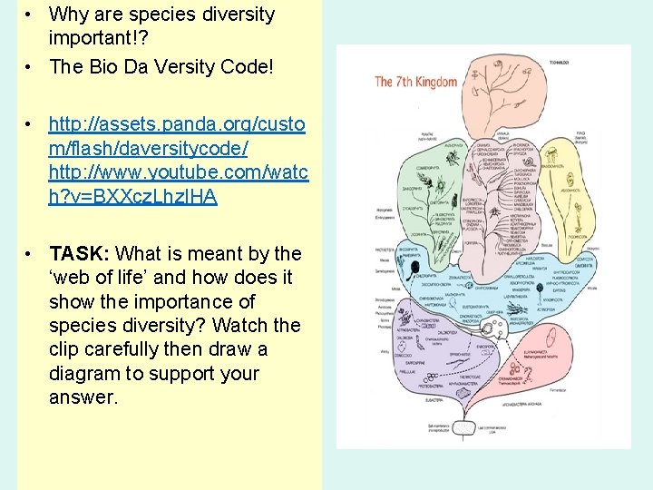  • Why are species diversity important!? • The Bio Da Versity Code! •