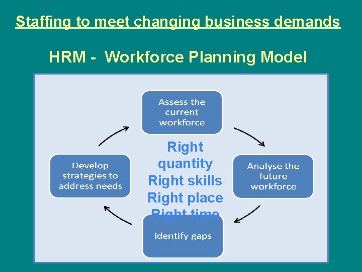Staffing to meet changing business demands HRM - Workforce Planning Model Right quantity Right