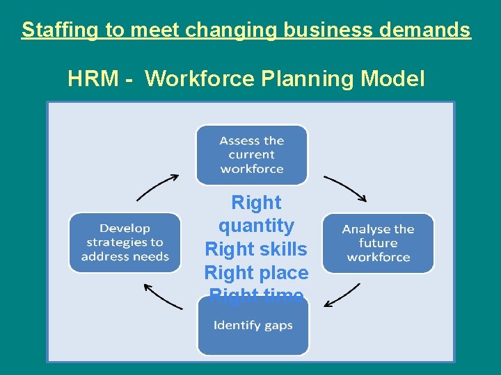Staffing to meet changing business demands HRM - Workforce Planning Model Right quantity Right