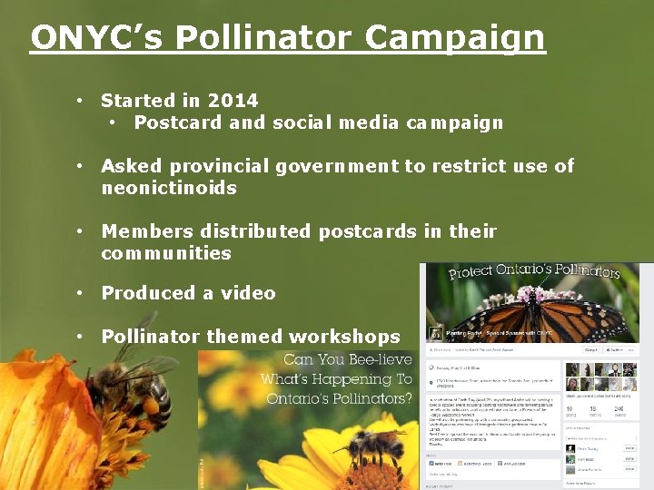 ONYC’s Pollinator Campaign • Started in 2014 • Postcard and social media campaign •