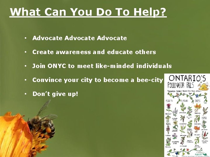 What Can You Do To Help? • Advocate • Create awareness and educate others