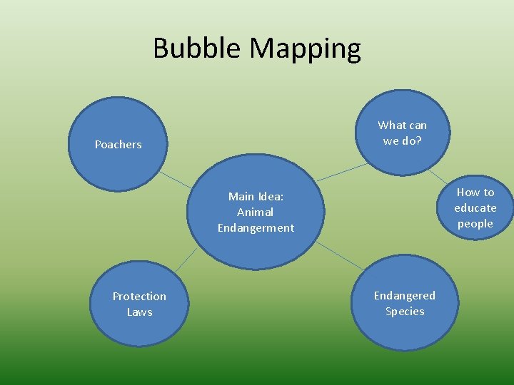 Bubble Mapping What can we do? Poachers How to educate people Main Idea: Animal