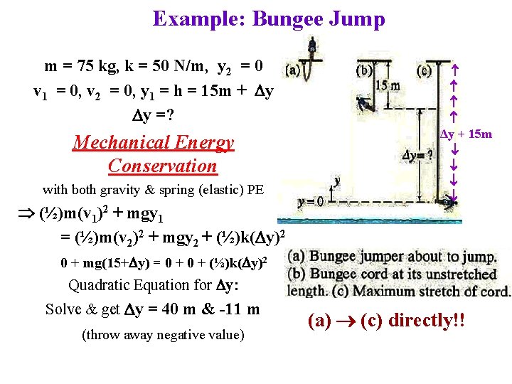 Example: Bungee Jump m = 75 kg, k = 50 N/m, y 2 =