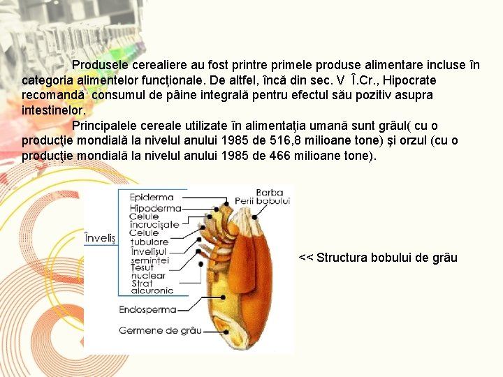 Produsele cerealiere au fost printre primele produse alimentare incluse în categoria alimentelor funcţionale. De