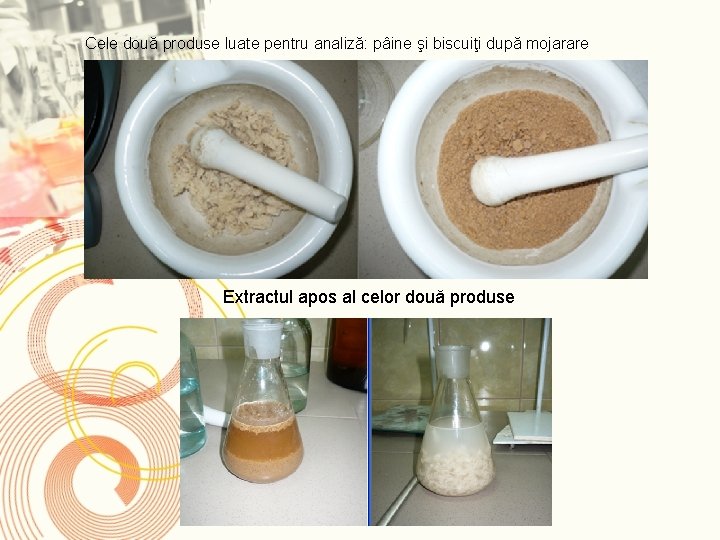 Cele două produse luate pentru analiză: pâine şi biscuiţi după mojarare Extractul apos al