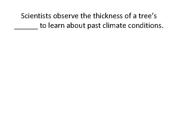 Scientists observe thickness of a tree’s ______ to learn about past climate conditions. 