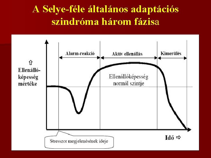 A Selye-féle általános adaptációs szindróma három fázisa 