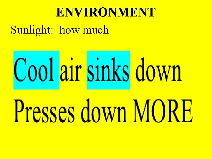ENVIRONMENT Sunlight: how much 