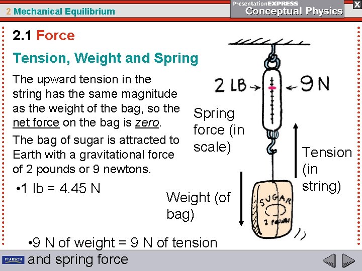 2 Mechanical Equilibrium 2. 1 Force Tension, Weight and Spring The upward tension in