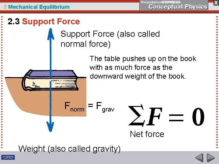 2 Mechanical Equilibrium 2. 3 Support Force (also called normal force) The table pushes