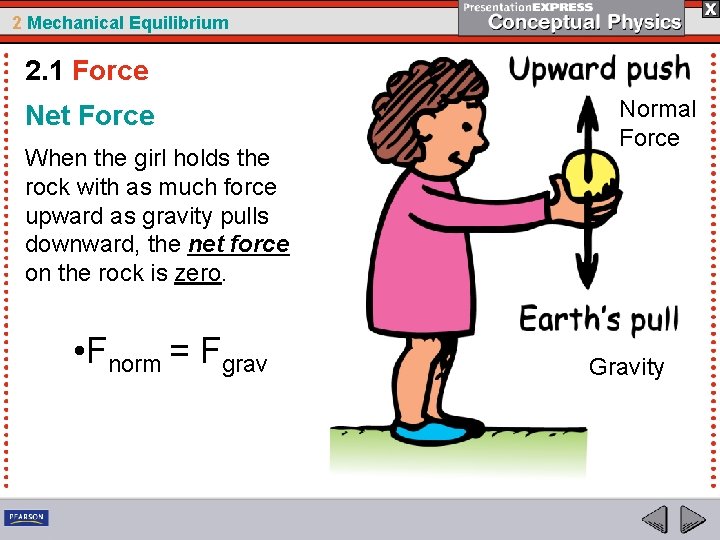 2 Mechanical Equilibrium 2. 1 Force Net Force When the girl holds the rock