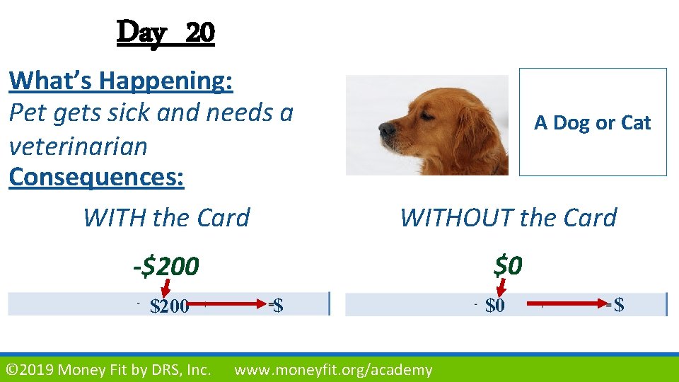 Day 20 What’s Happening: Pet gets sick and needs a veterinarian Consequences: WITH the