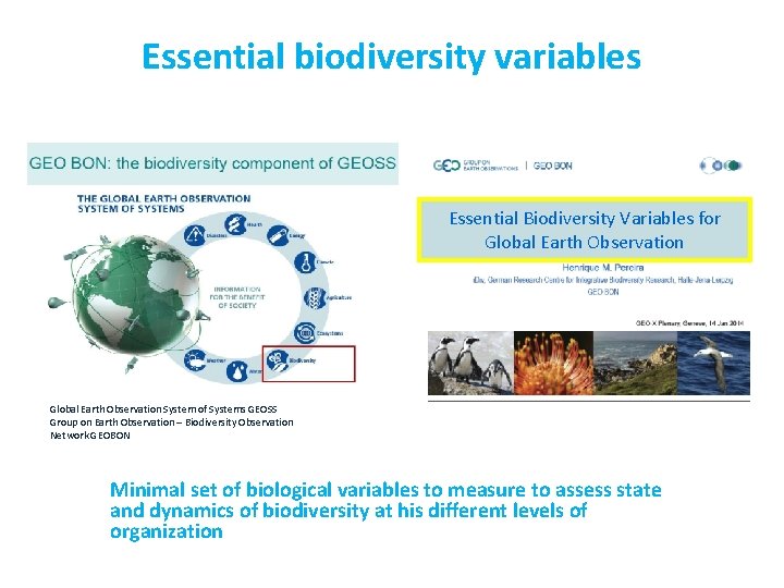 Essential biodiversity variables Essential Biodiversity Variables for Global Earth Observation System of Systems GEOSS