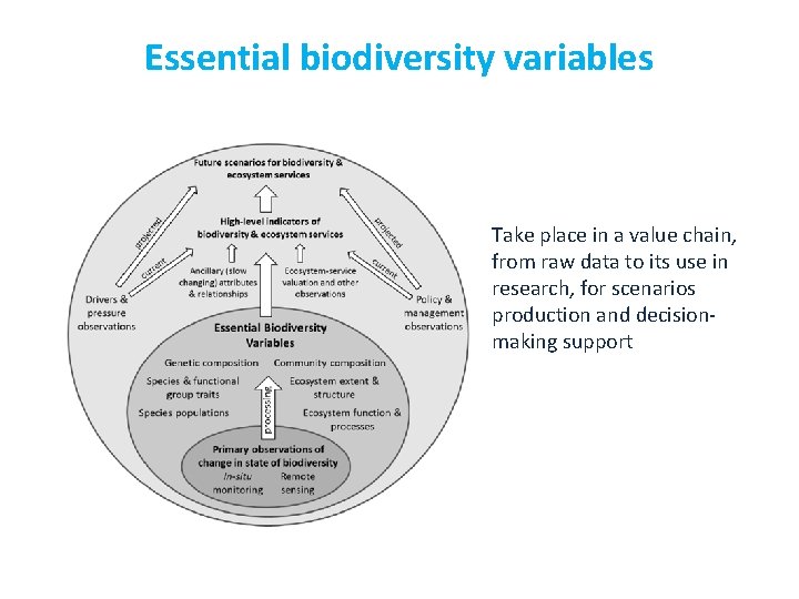 Essential biodiversity variables OBSERVATIONS - In situ monitoring - Remote sensing DATA from primary