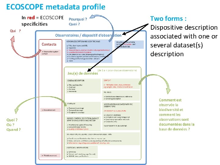 ECOSCOPE metadata profile In red = ECOSCOPE specificities Two forms : Dispositive description associated