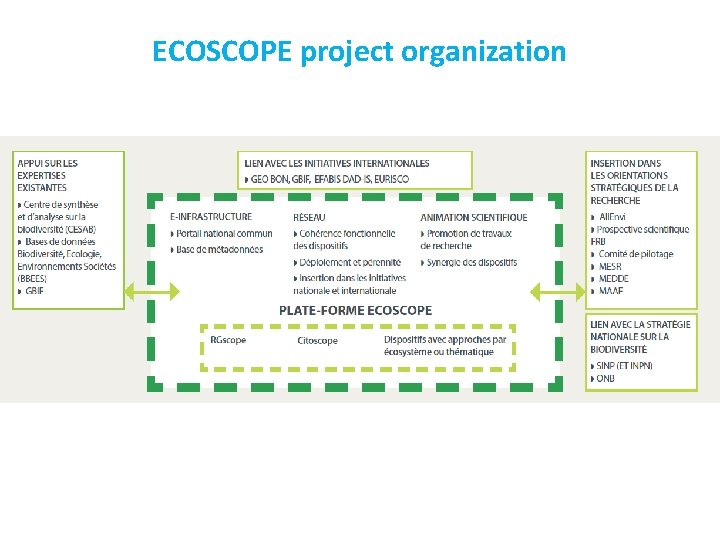 ECOSCOPE project organization 