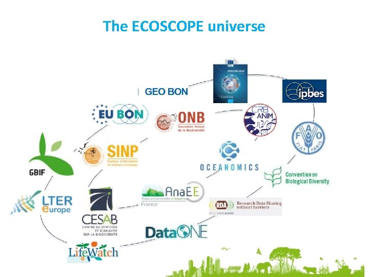 The ECOSCOPE universe 