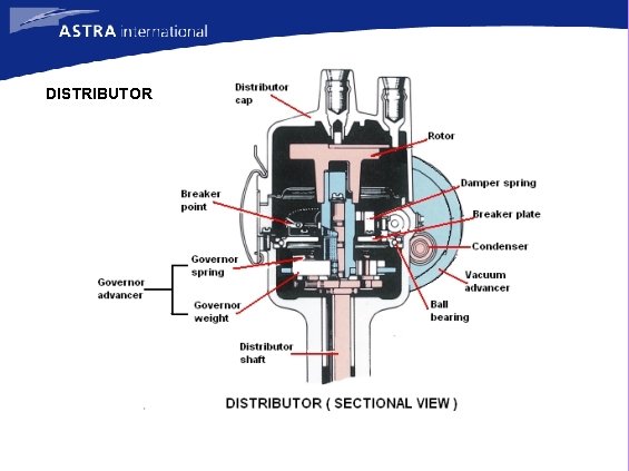DISTRIBUTOR 