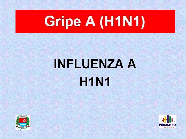 INFLUENZA A H 1 N 1 