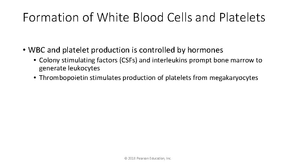 Formation of White Blood Cells and Platelets • WBC and platelet production is controlled Formation of White Blood Cells and Platelets • WBC and platelet production is controlled