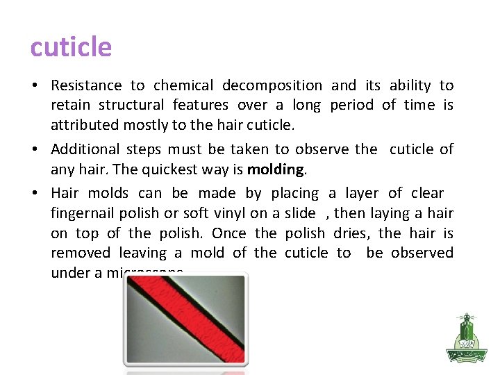 cuticle • Resistance to chemical decomposition and its ability to retain structural features over