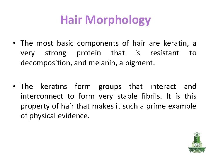 Hair Morphology • The most basic components of hair are keratin, a very strong