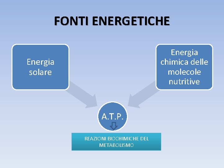 FONTI ENERGETICHE Energia chimica delle molecole nutritive Energia solare A. T. P. REAZIONI BIOCHIMICHE