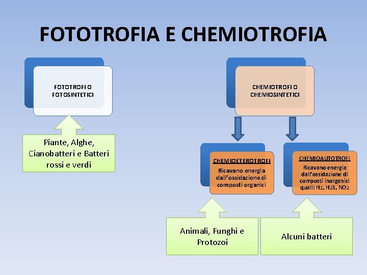 FOTOTROFIA E CHEMIOTROFIA FOTOTROFI O FOTOSINTETICI Piante, Alghe, Cianobatteri e Batteri rossi e verdi