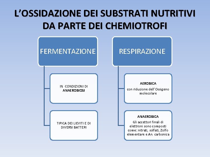 L’OSSIDAZIONE DEI SUBSTRATI NUTRITIVI DA PARTE DEI CHEMIOTROFI FERMENTAZIONE RESPIRAZIONE IN CONDIZIONI DI ANAEROBIOSI