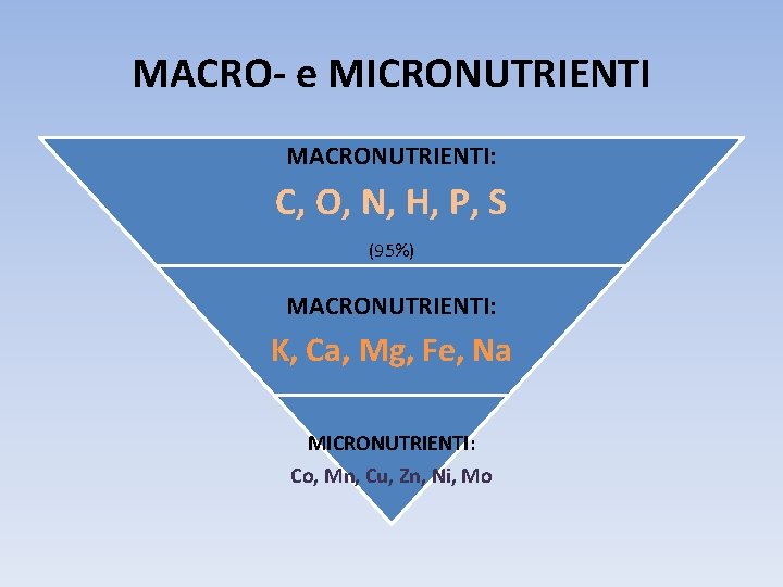 MACRO- e MICRONUTRIENTI MACRONUTRIENTI: C, O, N, H, P, S (95%) MACRONUTRIENTI: K, Ca,