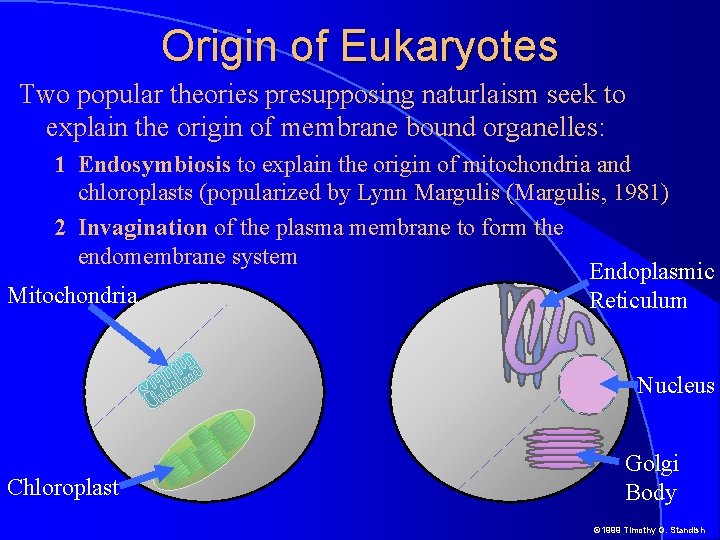 Origin of Eukaryotes Two popular theories presupposing naturlaism seek to explain the origin of