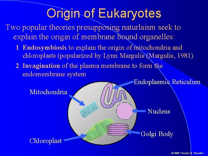 Origin of Eukaryotes Two popular theories presupposing naturlaism seek to explain the origin of