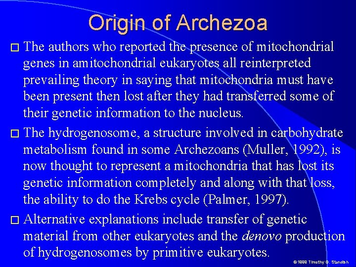 Origin of Archezoa � The authors who reported the presence of mitochondrial genes in