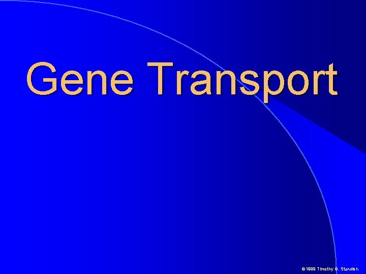 Gene Transport © 1999 Timothy G. Standish 