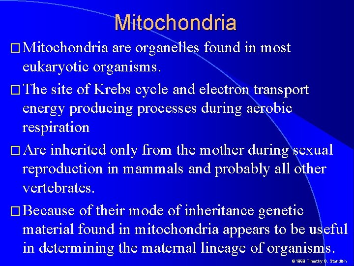 Mitochondria � Mitochondria are organelles found in most eukaryotic organisms. � The site of