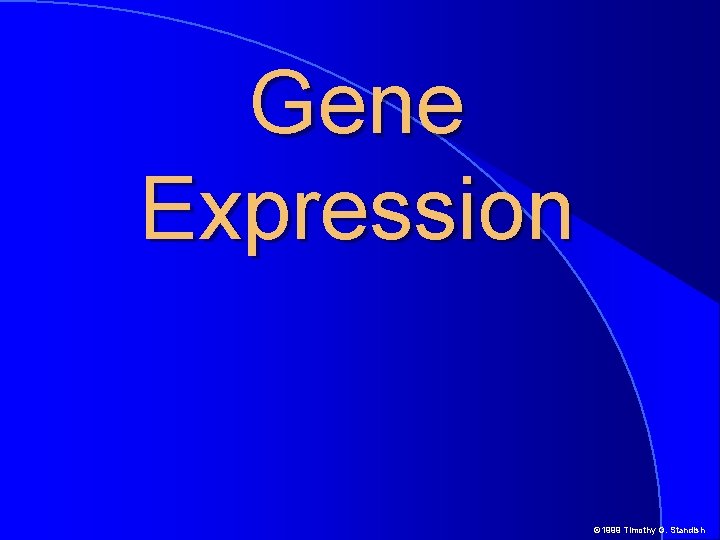 Gene Expression © 1999 Timothy G. Standish 