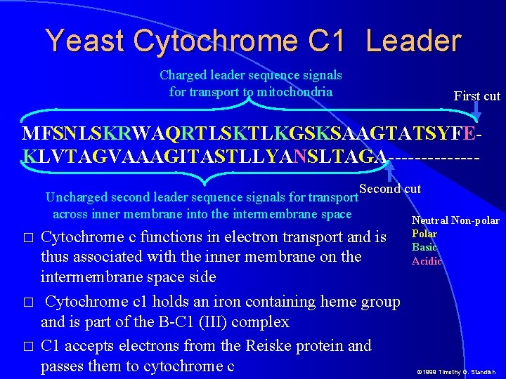 Yeast Cytochrome C 1 Leader Charged leader sequence signals for transport to mitochondria First