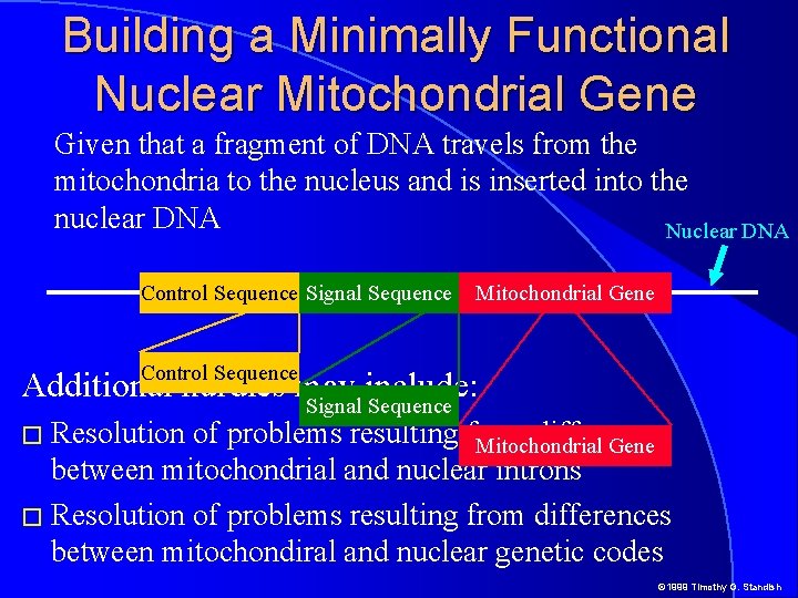 Building a Minimally Functional Nuclear Mitochondrial Gene Given that a fragment of DNA travels