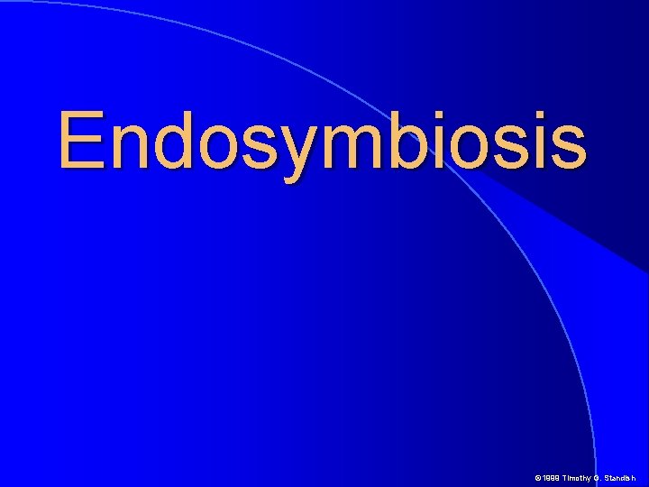 Endosymbiosis © 1999 Timothy G. Standish 
