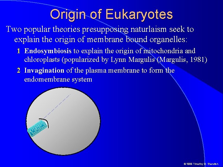 Origin of Eukaryotes Two popular theories presupposing naturlaism seek to explain the origin of